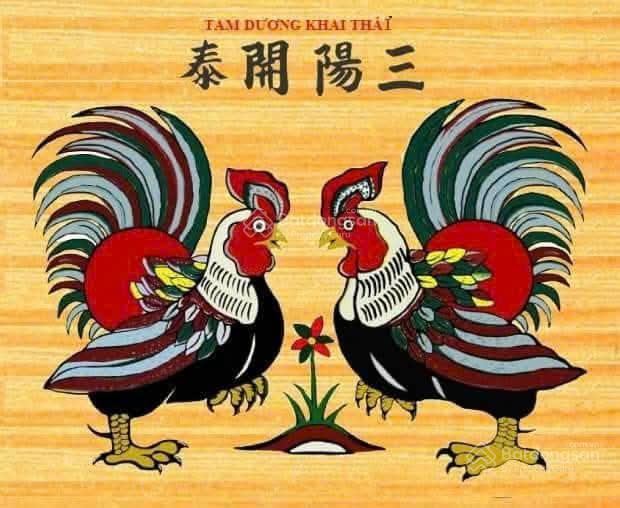 Bán nhà ngang 5m, đường 5m, móng 4 tầng, sổ hồng riêng, cạnh lotte mart quận 7 nguyễn thị thập
