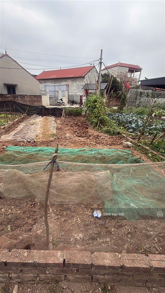 Bán đất ở xã ngọc tảo, giá thỏa thuận, 50m2, mặt tiền 4.9m, đường 5m