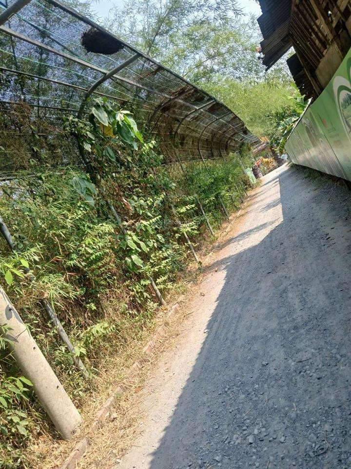 Bán đất có thổ cư khu dân cư đông  đường bàu trâm  đường xe tải  ngang rộng 18m
