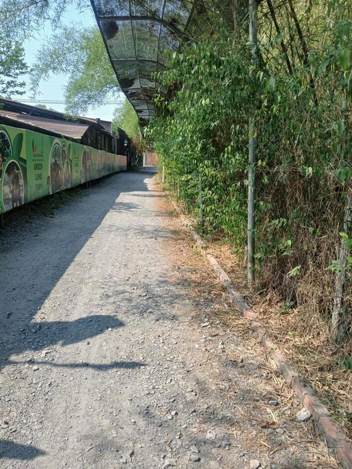 Bán đất có thổ cư khu dân cư đông  đường bàu trâm  đường xe tải  ngang rộng 18m