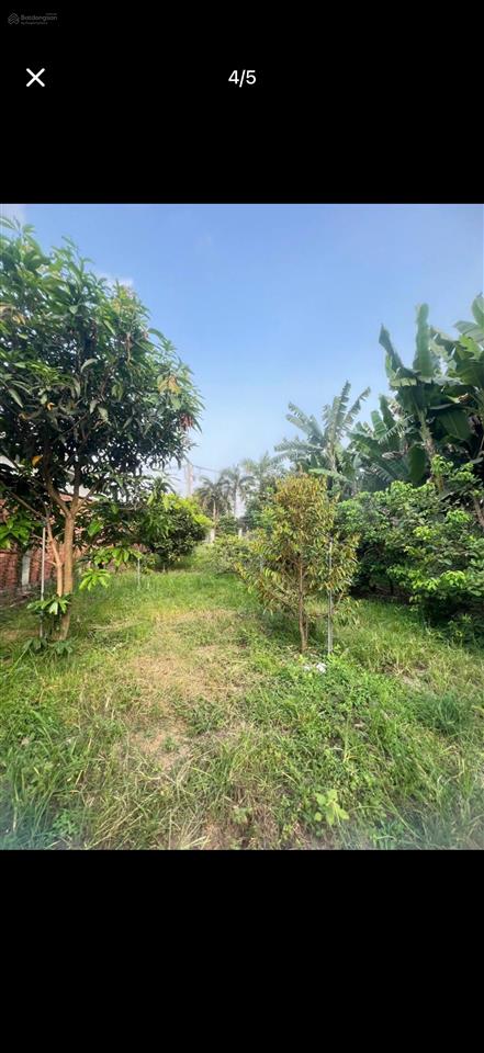 Bán đất tại nguyễn chí thanh, 210 m2, bình nhâm, thuận an cách aeon mall 5km