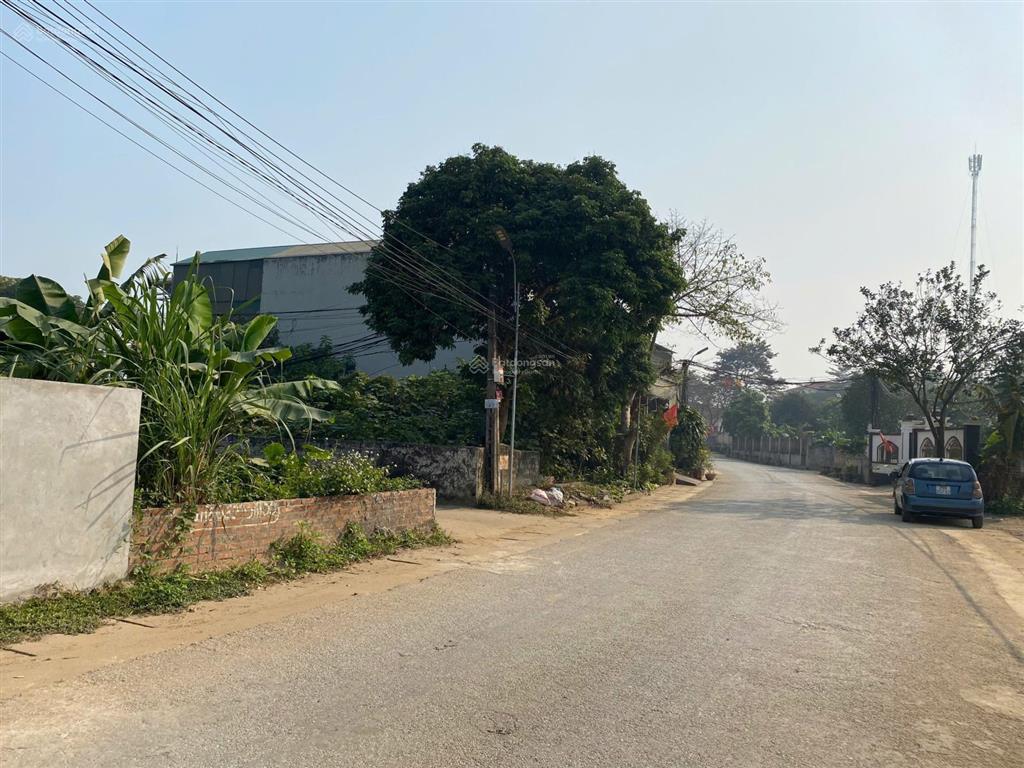 Đất mặt tl317b thanh thủy, 165m2, mặt tiền 6.5m, full thổ, lô góc, kinh doanh, sát tiện ích, hơn tỷ