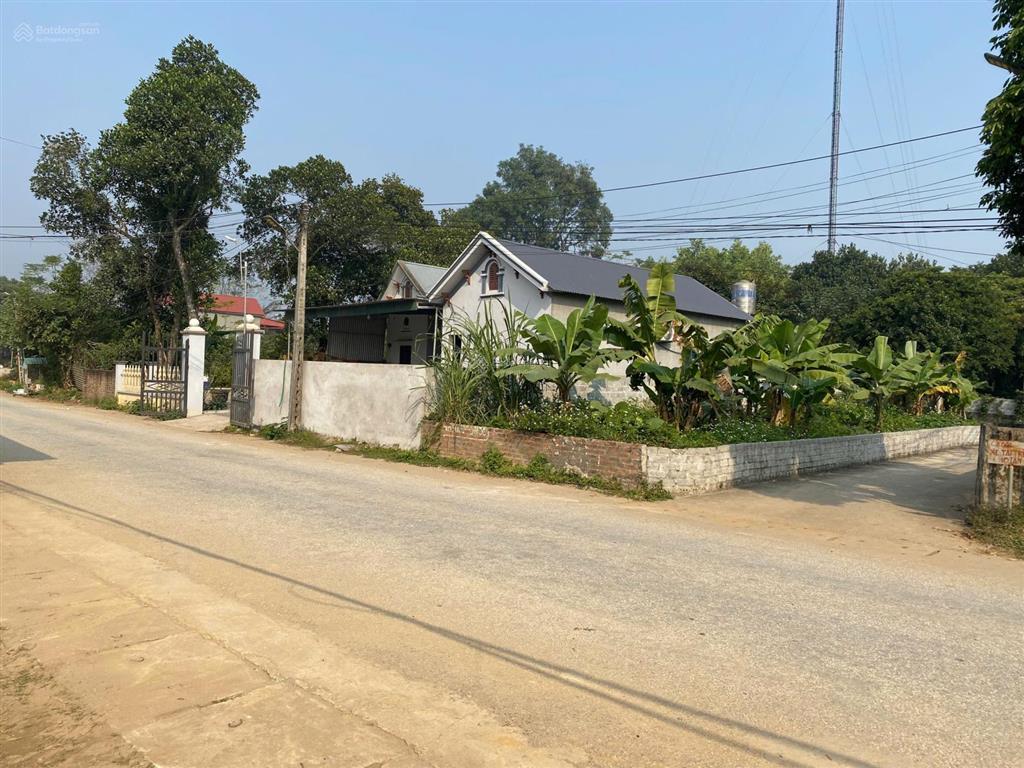 Đất mặt tl317b thanh thủy, 165m2, mặt tiền 6.5m, full thổ, lô góc, kinh doanh, sát tiện ích, hơn tỷ