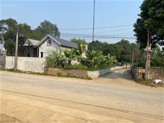 Mở hàng 2026 đất mặt tlo 317b, 165m2, mtien 6.5m, full thổ, lô góc, kdoanh, sát tiện ích, hơn tỷ