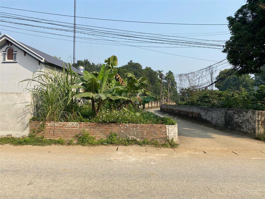 Đất mặt tl317b thanh thủy, 165m2, mặt tiền 6.5m, full thổ, lô góc, kinh doanh, sát tiện ích, hơn tỷ