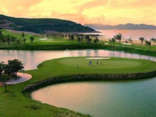 Newtown diamond toà sapphire  giá tốt, chiếc khấu cao, làm việc nhanh gon