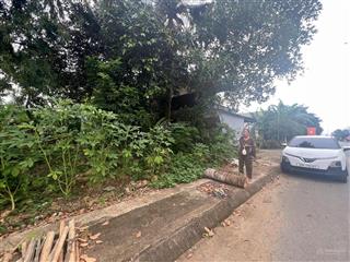 Ngân hàng phát mãi, bán đấu giá 318.8m2 đất ở tại ql 47 xã ngọc phụng  thường xuân