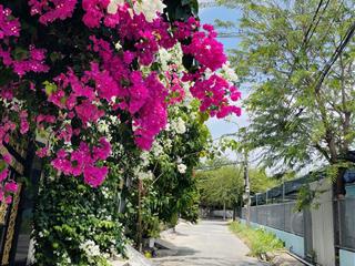 Bán nhà trong kdc ngang 6m  trung tâm nhà bè