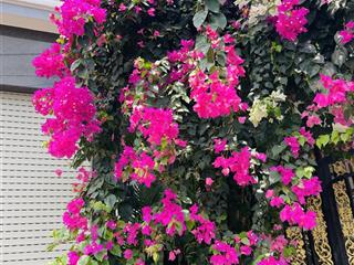 Bán nhà 3 tầng|4.8m x 23m  có garage ô tô  nhà bè