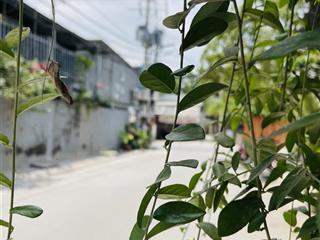Dãy trọ 6 phòng 5.6m x 22m  có dòng tiền ngay hoặc xây mới đầu tư