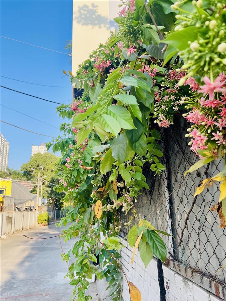 Nhà q7 ô tô vào nhà full nội thất chỉ 7,8 tỷ