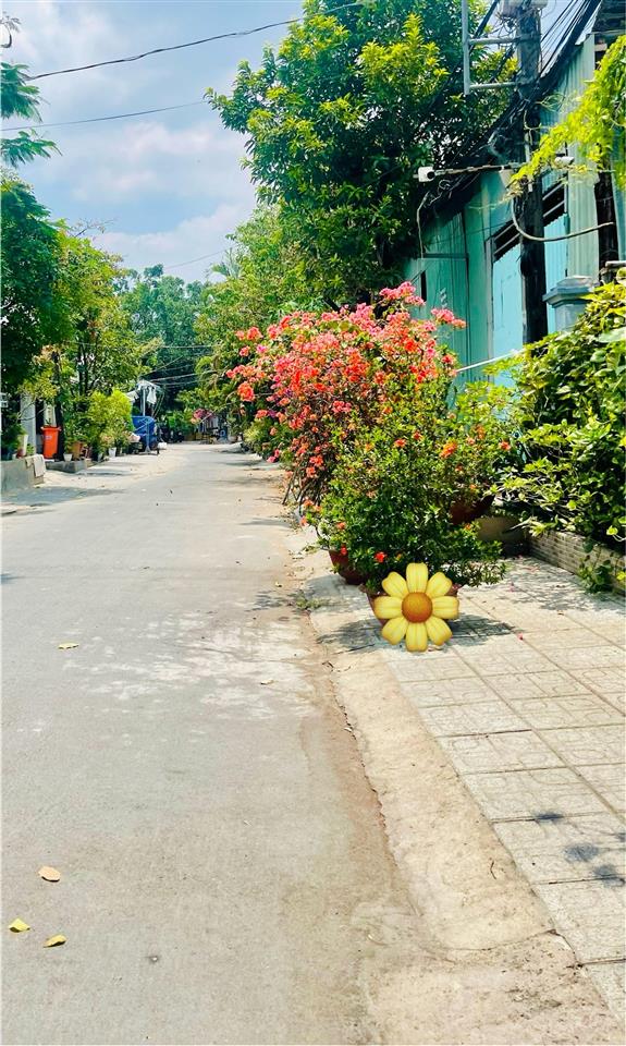 Bán nhà đẹp q7  full nội thất  ngang tới 9m  giá chỉ 6,99 tỷ