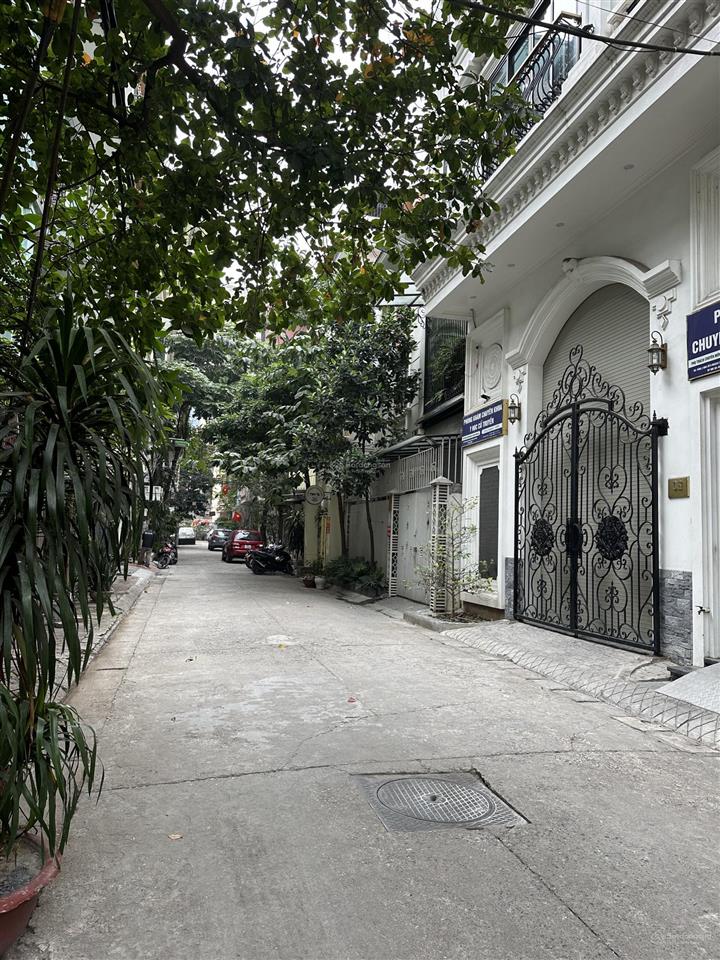Bán đất xây biệt thự đẹp tại phố lạc trung, 55 tỷ vnd, 135 m2, mặt tiền lý tưởng 9m.