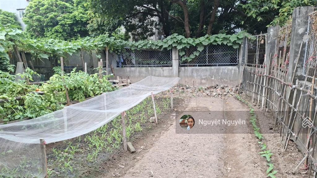 Bán đất tại đàm quang trung, 90 triệu, 99m2, giá cực chất