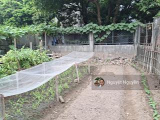 Bán đất tại đàm quang trung, 90 triệu, 99m2, giá cực chất