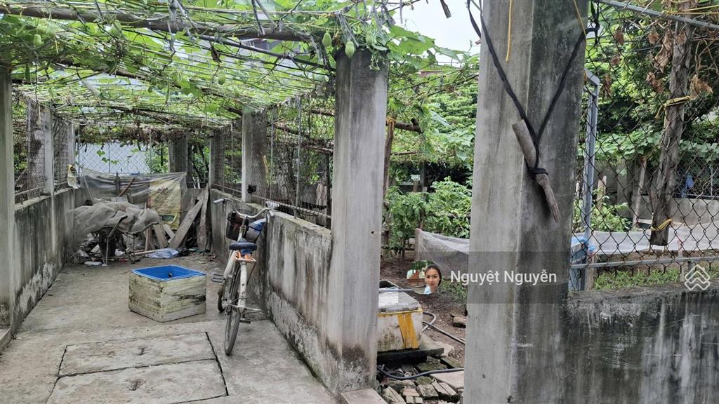 Bán đất tại đàm quang trung, 90 triệu, 99m2, giá cực chất