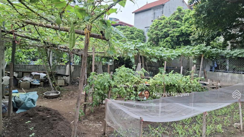 Bán đất tại đàm quang trung, 90 triệu, 99m2, giá cực chất