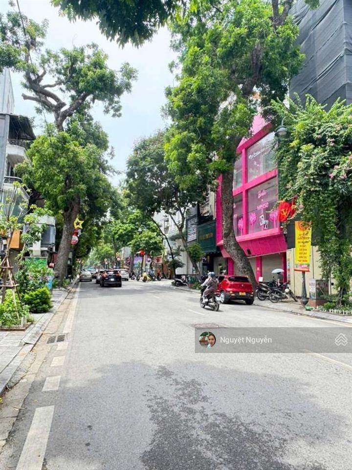 Bán nhà mặt phố bà triệu  hbt  mặt tiền đẹp  vỉa hè rộng  kinh doanh