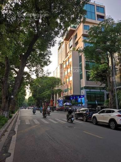 Chính chủ bán nhà mặt phố nguyễn du thang máy 7 tầng  tìm khách mua trực tiếp