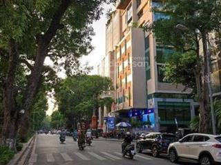 Chính chủ bán nhà mặt phố nguyễn du thang máy 7 tầng  tìm khách mua trực tiếp