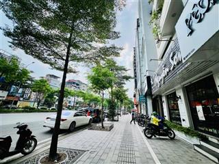 Mặt phố trần khát chân  phố huế  hbt  vỉa hè 8m  dòng tiền 2 tỷ năm  mặt tiền 10m