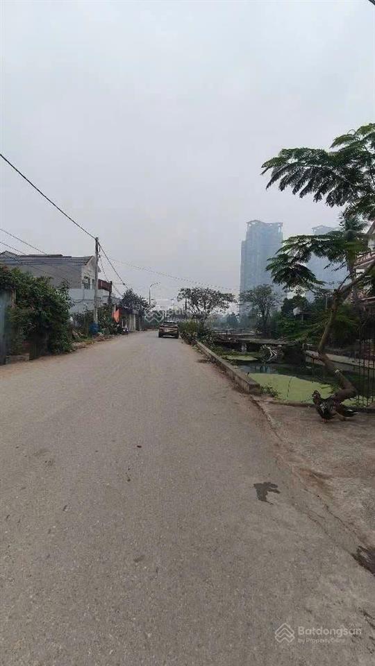 Tôi chính chủ bán gấp mảnh đất trồng cây đẹp khu vực nghĩa trụ