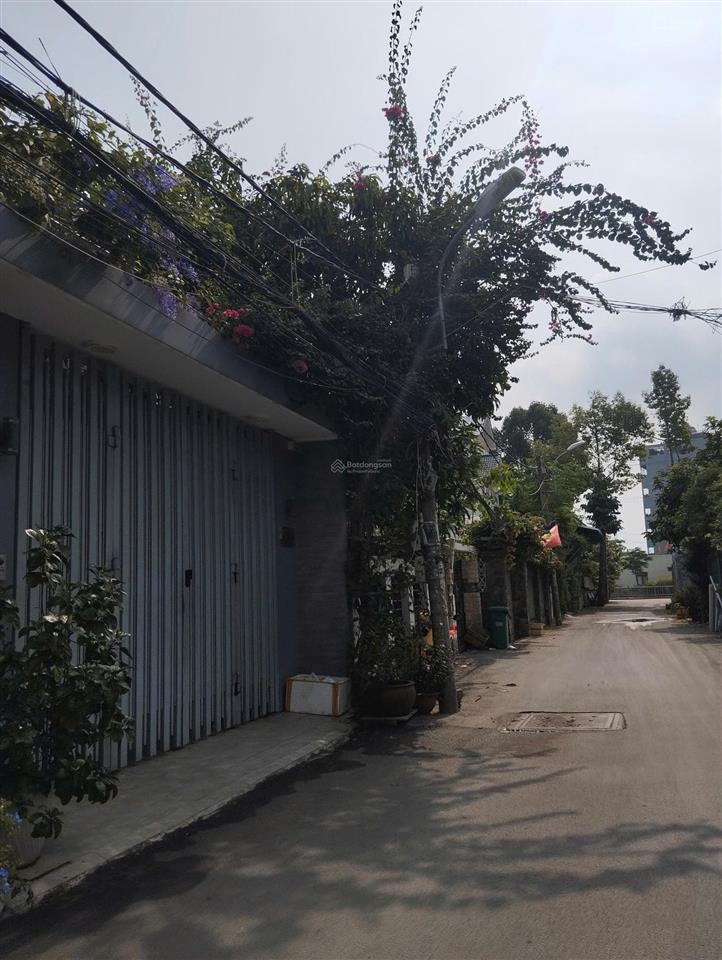 4 tầng hxh thông 3.5 x 15m dương quảng hàm p6 gv 8,6 tỷ