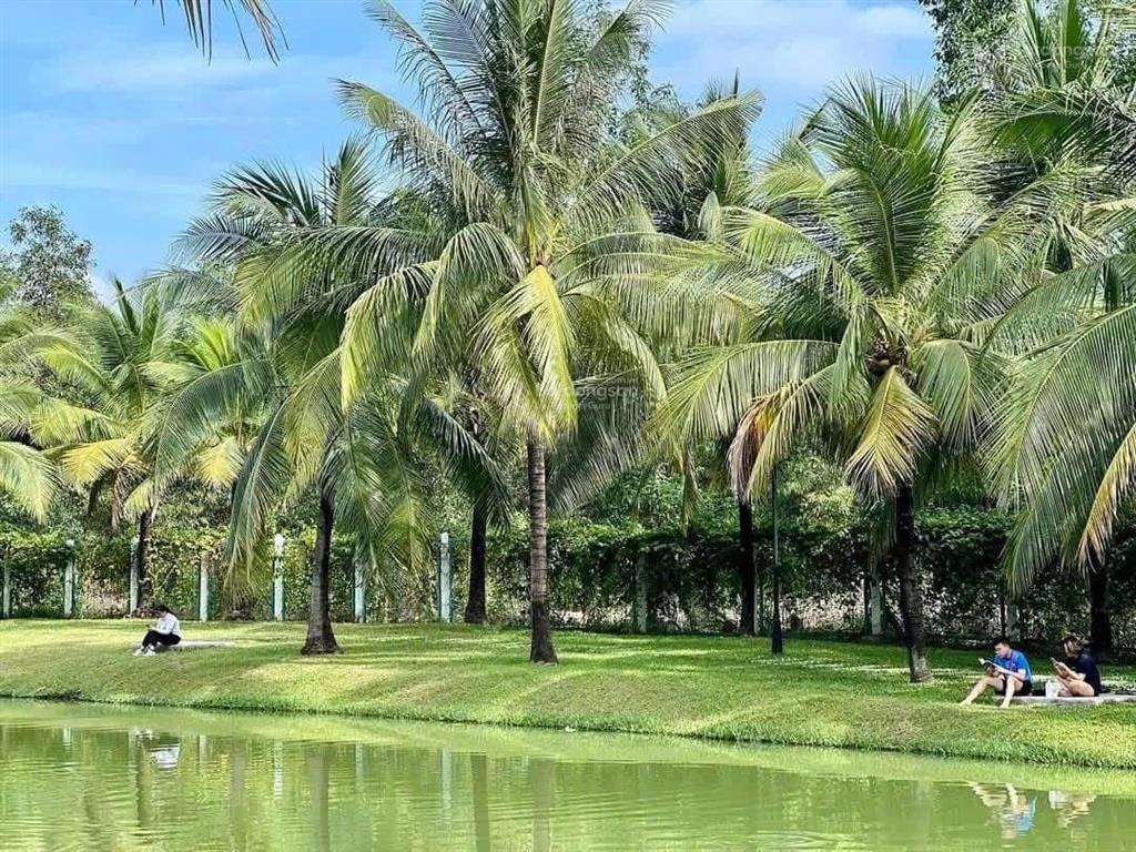 Hàng độc quyền căn hộ 2pn 68m2 solari view sông 3,1 tỷ cực rẻ trực tiếp vinhomes chiết khấu 17,3%