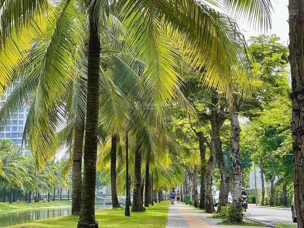 Hàng độc quyền căn hộ 2pn 68m2 solari view sông 3,1 tỷ cực rẻ trực tiếp vinhomes chiết khấu 17,3%