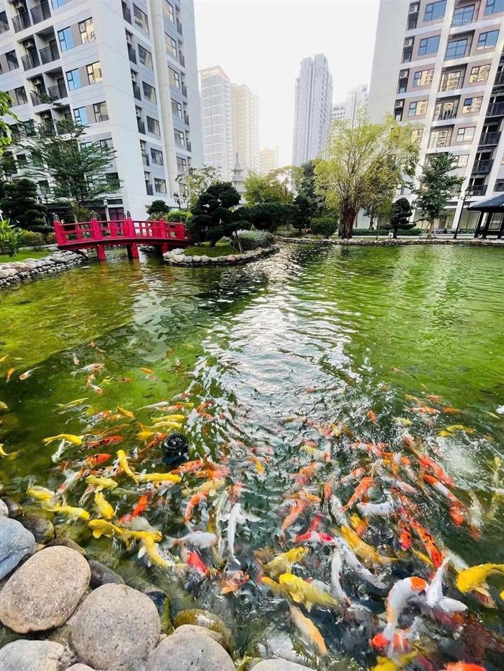 Căn hiếm 2pn 2wc | view hồ bơi & vườn nhật the origami