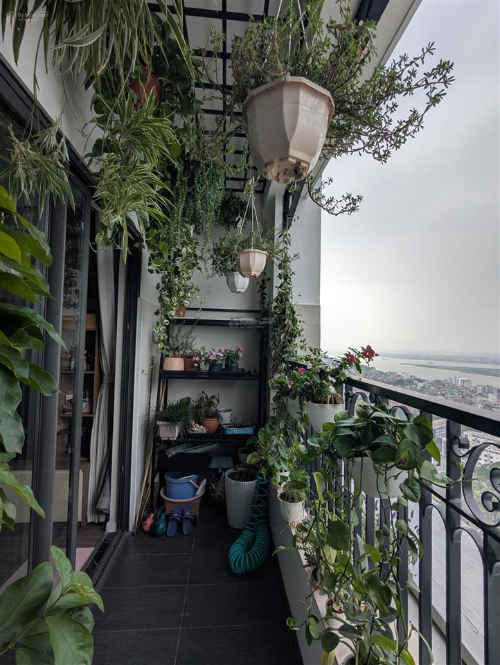 Bất động sản vị trí đắc địa, lý tưởng để ở hoặc cho thuê ngay tới gia đình nn