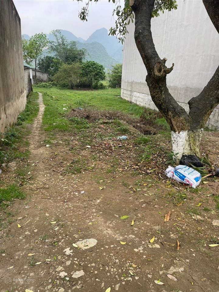 Bán đất 100m2 tại xã đông sơn, tam điệp, ninh bình, giá tốt 2,15 tỷ