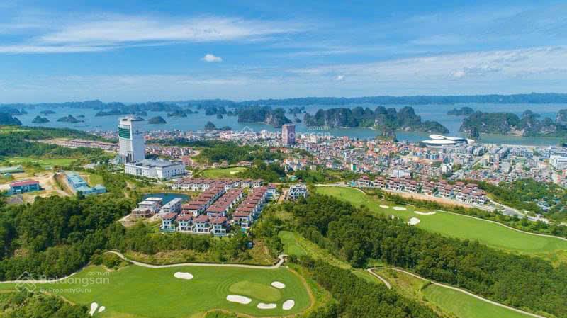 Quỹ căn đặc biệt misaki hạ long mừng tết bính ngọ chiết khấu quà tặng lên đến 500tr