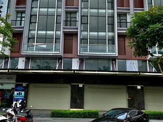 Nguyên căn nguyễn thị nhung có thang máy dt 140m2 6 tầng khu sầm uất bậc nhất khu, giá chỉ 65tr/th