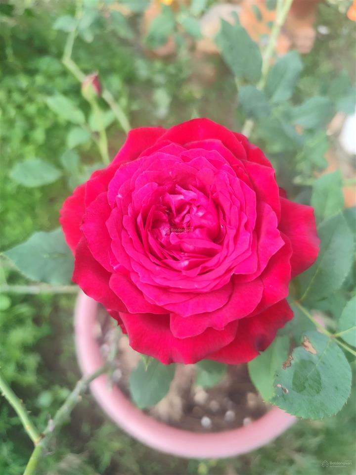 Chỉ hơn 5tỷ có ngay 2 căn nhà  2 mặt tiền quốc lộ 1a  4x20m  5pn  4wc  hẻm 7m có dòng tiền