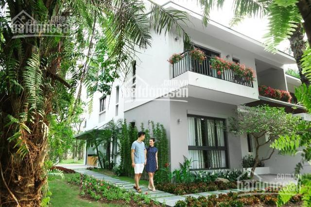 Bán chuyển nhượng thấp tầng dự án ecopark giá tốt   0963 505 ***