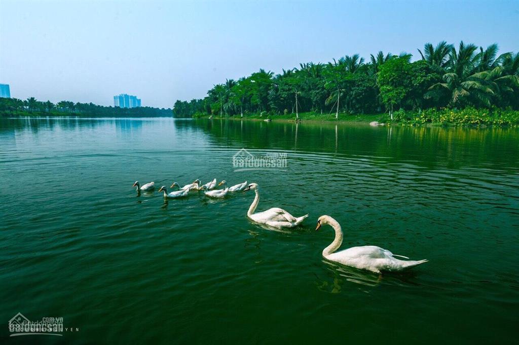 Bán biệt thự đảo ecopark giá tốt   0963 505 ***