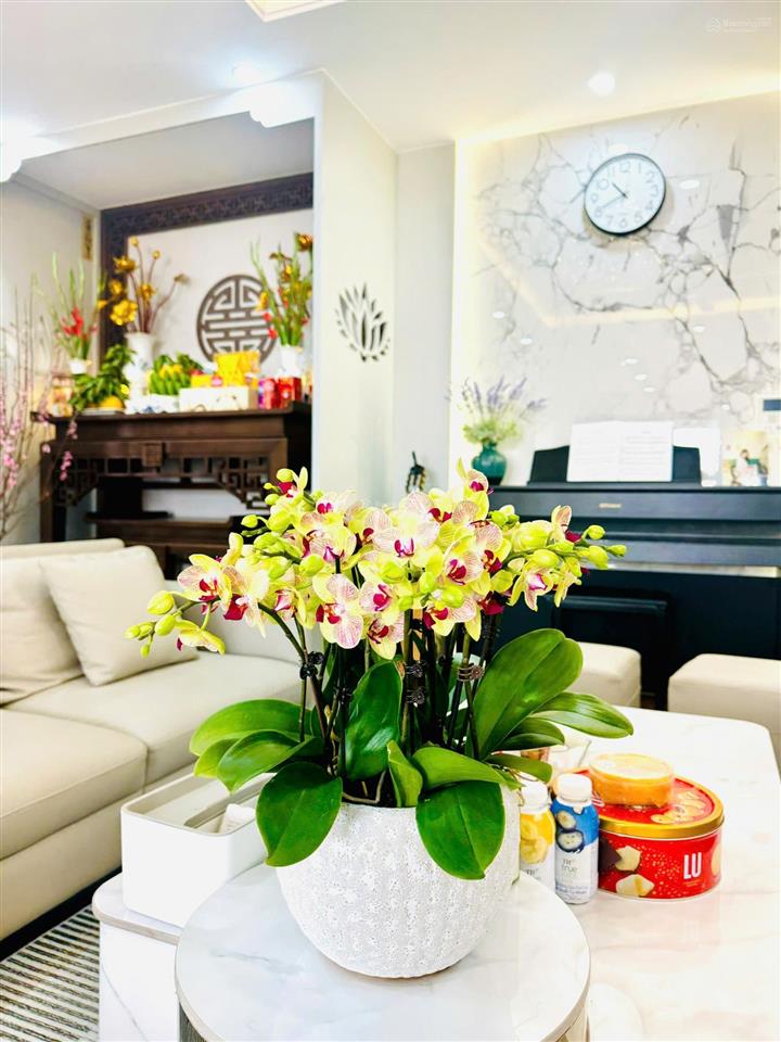 (ảnh thật  giá thật). chính chủ cần chuyển nhượng lại căn hộ chung cư n05 hoàng đạo thúy