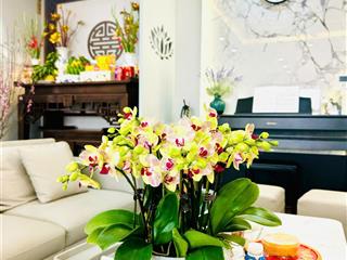 Chính chủ bán căn hộ chung cư vườn xuân tọa lạc tại 71 nguyễn chí thanh, láng hạ, đống đa, hà nội
