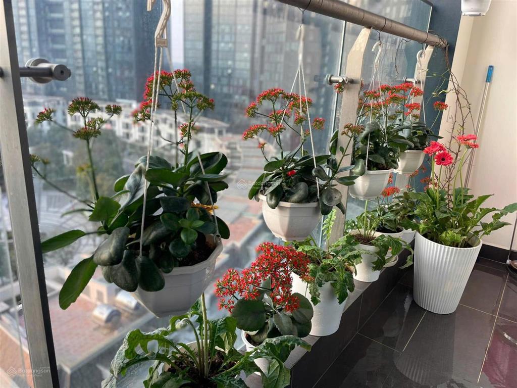 Bán căn 3 phòng ngủ tòa s5 ss city ciputra  có ban công view nội khu thoáng mát