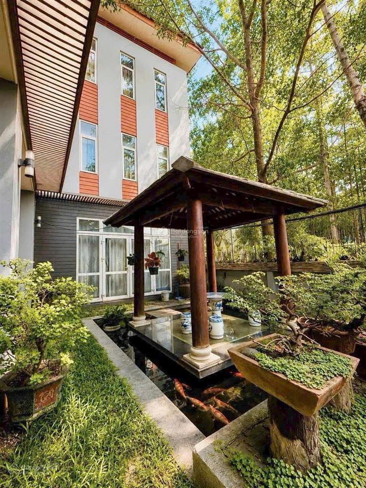 Tòa nhà | phổ quang, p. 2, q. tân bình | 10*20 = 275m2 | bán 61 tỷ  thuê 180tr/tháng