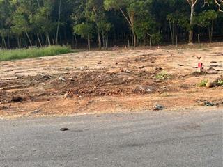 Đất mặt tiền buôn bán kinh doanh ngay chợ tự phát chánh phú hoà bến cát bình dương