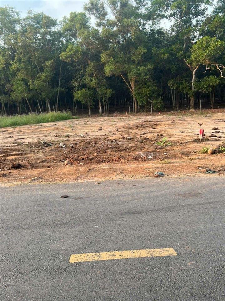 Đất ngay chợ tự phát  chánh phú hòa  bến cát