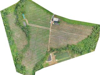 Bán đất kim long, châu đức, 1 triệu/m², có nhà sẵn, có suối bao quanh,  0932 004