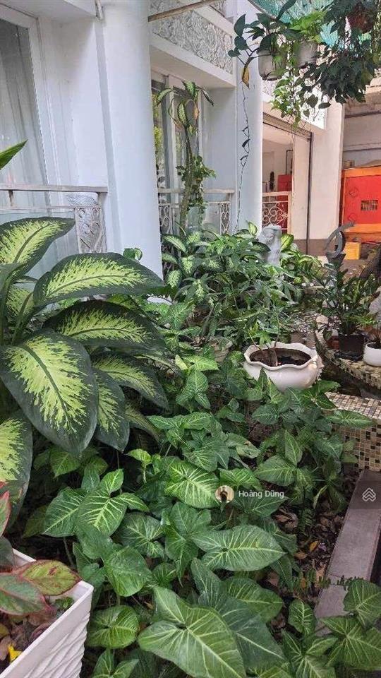 Bán khách sạn 4 sao  15x20m  trung tâm phú nhuận  9 tầng btct  thu nhập hơn 300tr  giá 149 tỷ