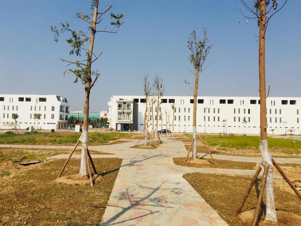 Đất nền biệt thự 180m2 có sổ hồng. hạ tầng đồng bộ, công viên ngay sau nhà. dân cư đông đúc