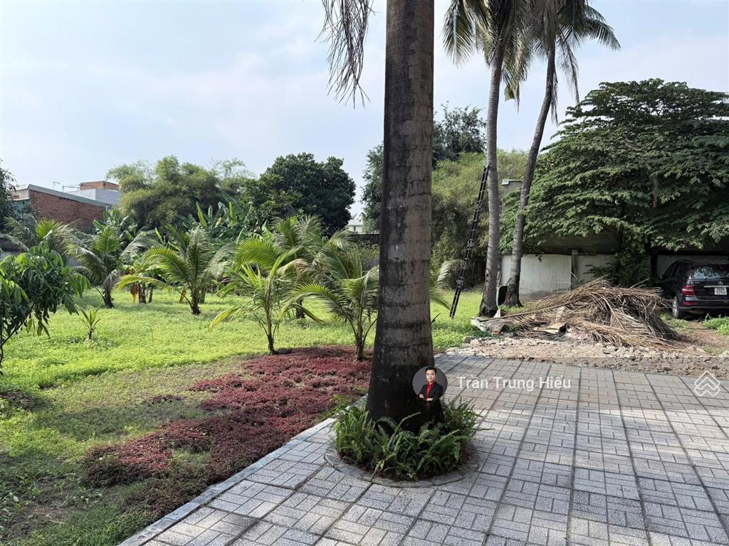 Chủ gửi bán gấp căn biệt thự sân vườn, nhà yến  1700m2 mt đường nam cao  thu nhập hơn 120tr/th