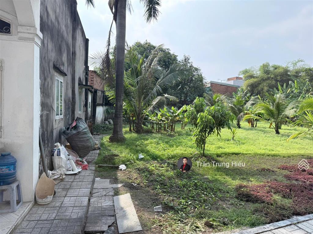 Chủ gửi bán gấp căn biệt thự sân vườn, nhà yến  1700m2 mt đường nam cao  thu nhập hơn 120tr/th
