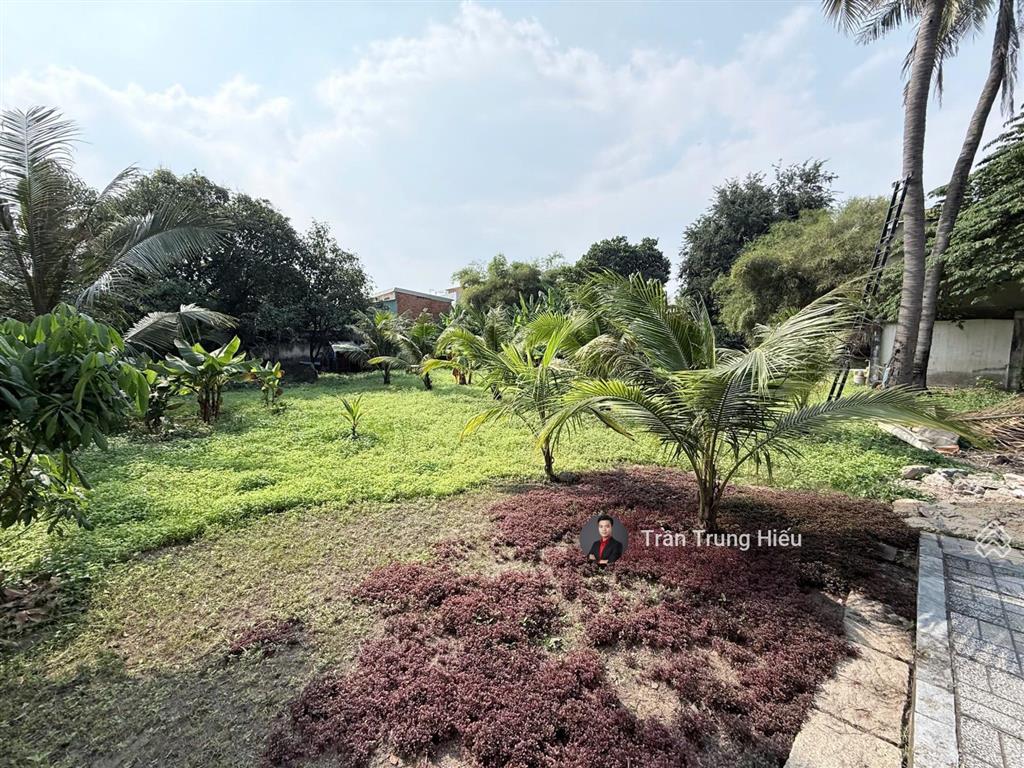 Chủ gửi bán gấp căn biệt thự sân vườn, nhà yến  1700m2 mt đường nam cao  thu nhập hơn 120tr/th