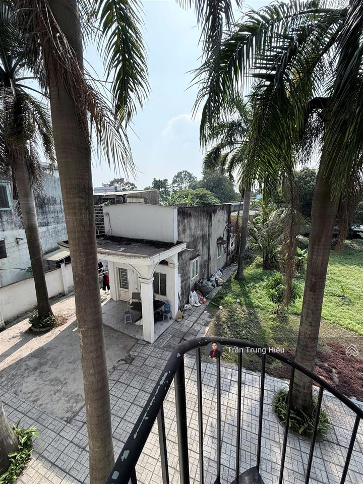 Chủ gửi bán gấp căn biệt thự sân vườn, nhà yến  1700m2 mt đường nam cao  thu nhập hơn 120tr/th